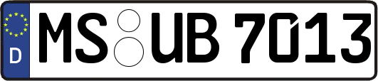 MS-UB7013