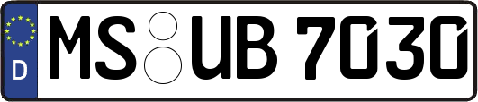 MS-UB7030