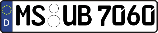 MS-UB7060