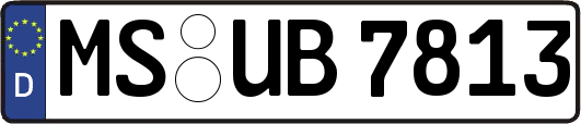 MS-UB7813