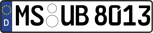 MS-UB8013