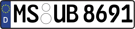 MS-UB8691