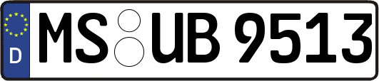 MS-UB9513