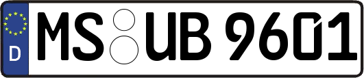 MS-UB9601