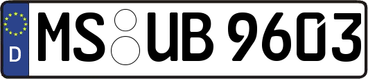 MS-UB9603