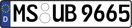 MS-UB9665