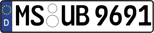 MS-UB9691