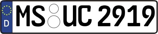 MS-UC2919