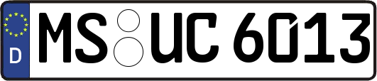 MS-UC6013