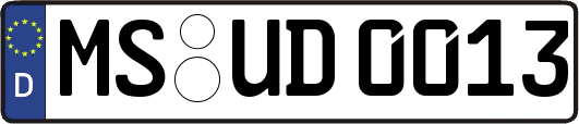 MS-UD0013
