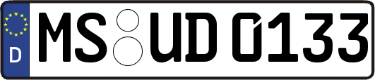 MS-UD0133