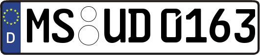 MS-UD0163