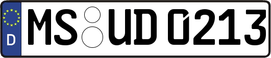 MS-UD0213