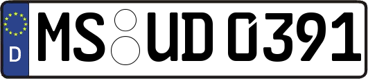 MS-UD0391