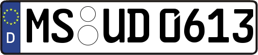 MS-UD0613