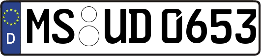 MS-UD0653