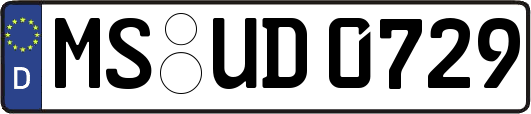 MS-UD0729