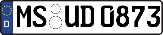 MS-UD0873
