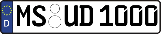 MS-UD1000