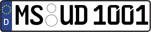 MS-UD1001
