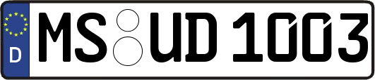 MS-UD1003