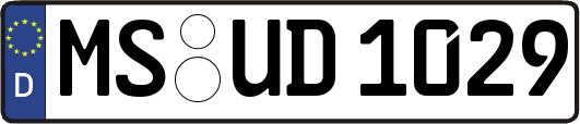 MS-UD1029