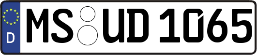 MS-UD1065