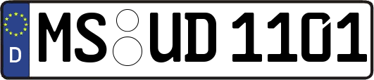 MS-UD1101