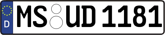 MS-UD1181