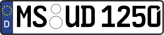 MS-UD1250
