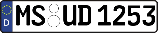 MS-UD1253