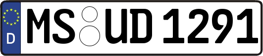 MS-UD1291