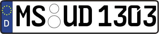 MS-UD1303