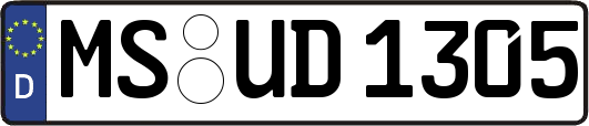 MS-UD1305