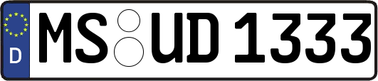 MS-UD1333