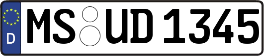 MS-UD1345