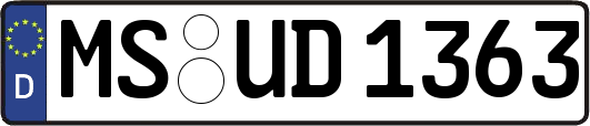 MS-UD1363