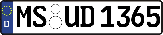 MS-UD1365