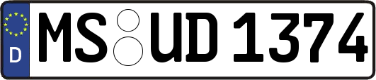MS-UD1374