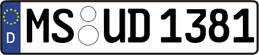 MS-UD1381