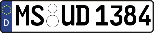 MS-UD1384