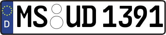 MS-UD1391