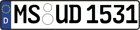 MS-UD1531