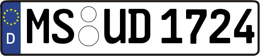 MS-UD1724