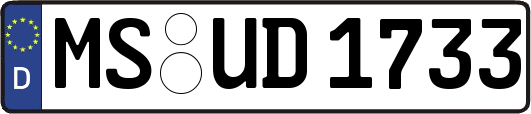 MS-UD1733