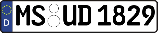 MS-UD1829