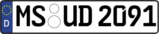 MS-UD2091