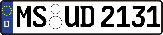 MS-UD2131