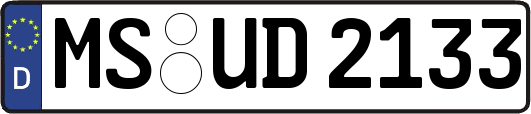 MS-UD2133