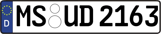 MS-UD2163